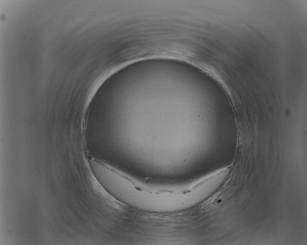 X0000062621532200601111021