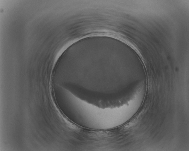 X0000062621533200601111021