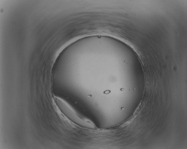 X0000062621534200601111021