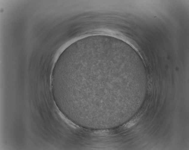 X0000062621535200601111021