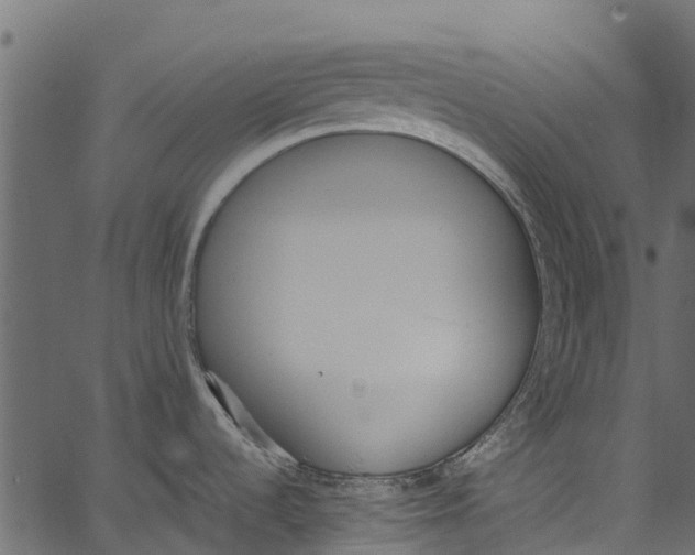 X0000062621536200601111021