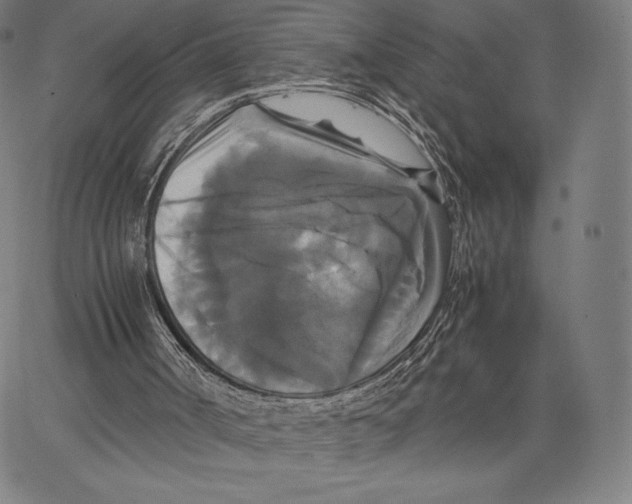 X0000062620002200601181706