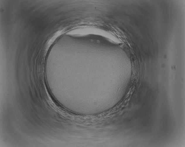 X0000062620003200601181706