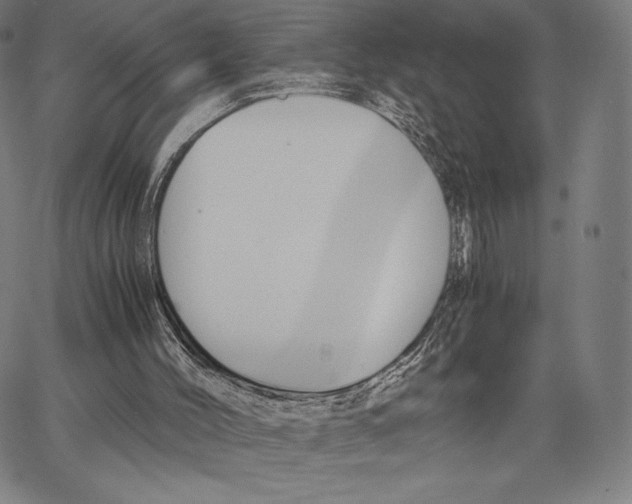 X0000062620004200601181706