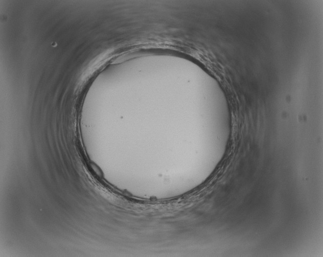 X0000062620005200601181706