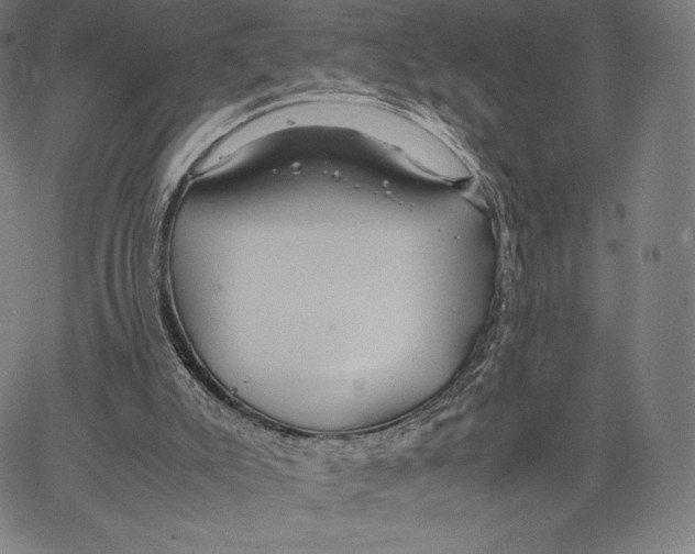 X0000062620007200601181706