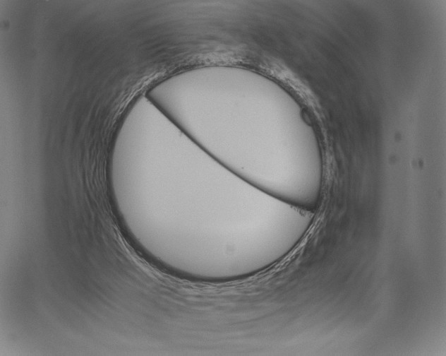 X0000062620009200601181706