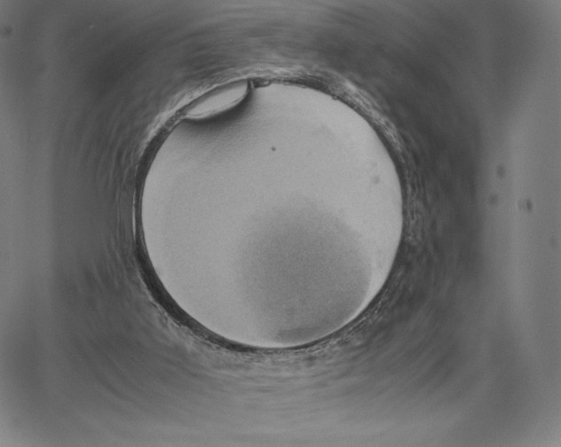 X0000062620011200601181706