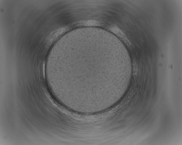 X0000062620014200601181706