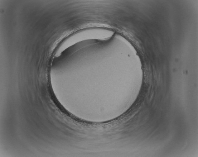 X0000062620015200601181706