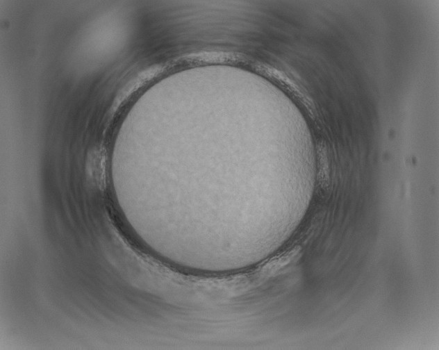 X0000062620016200601181706