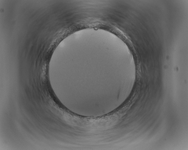 X0000062620018200601181706