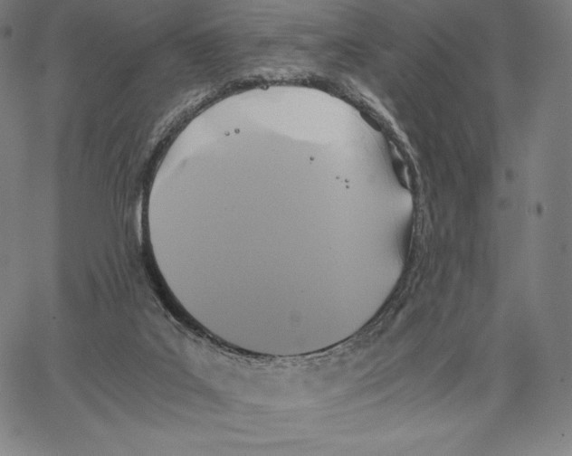 X0000062620019200601181706