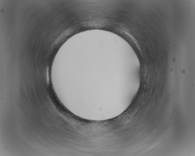 X0000062620020200601181706