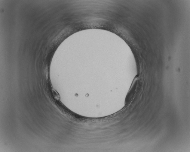 X0000062620021200601181706