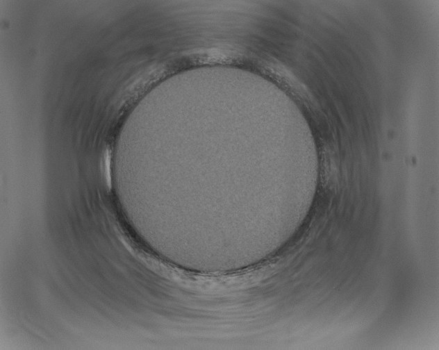 X0000062620022200601181706