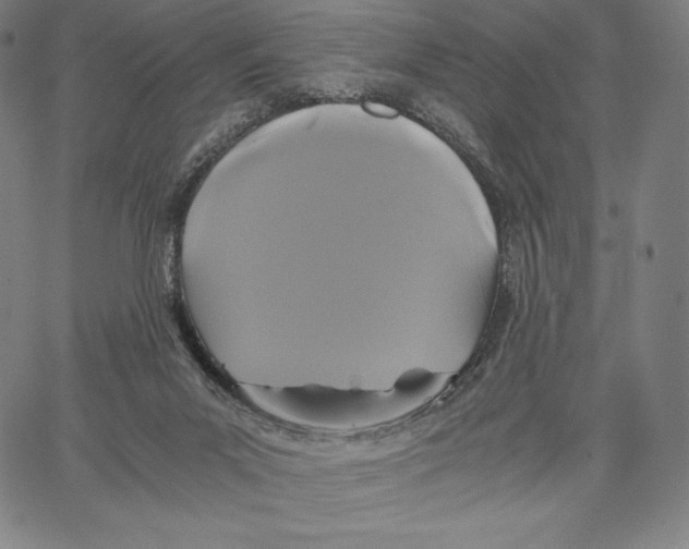 X0000062620023200601181706