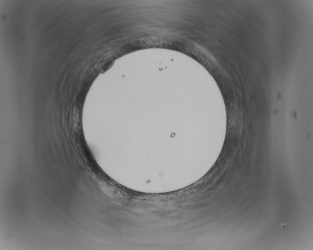 X0000062620025200601181706