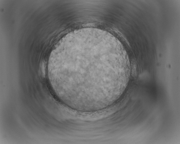 X0000062620026200601181706