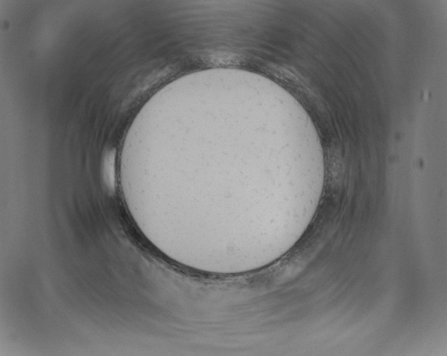 X0000062620028200601181706