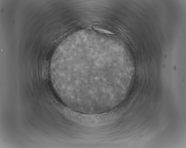 X0000062620030200601181706