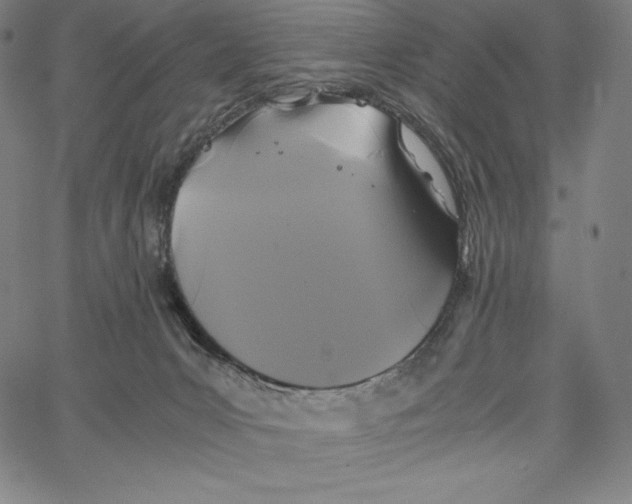 X0000062620031200601181706