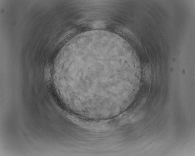 X0000062620032200601181706