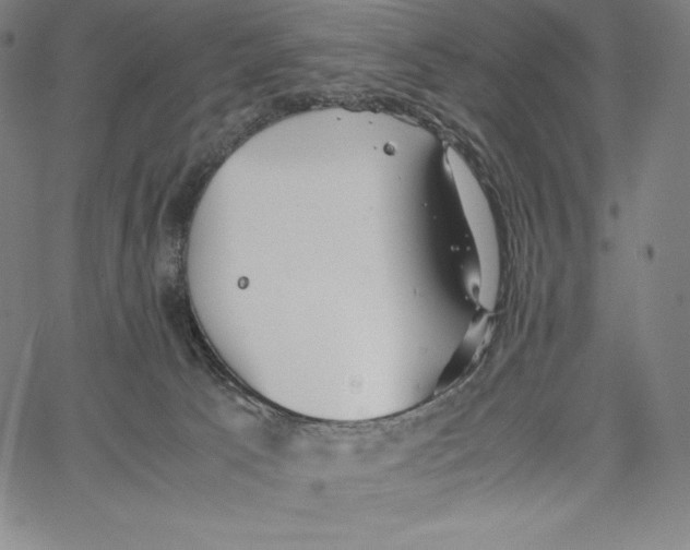 X0000062620033200601181706