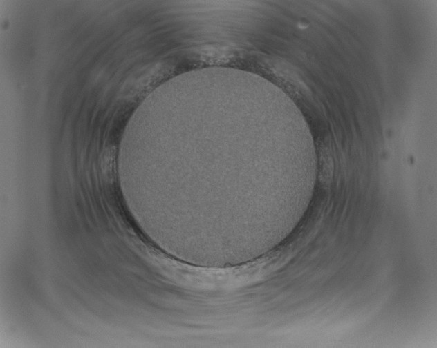 X0000062620034200601181706