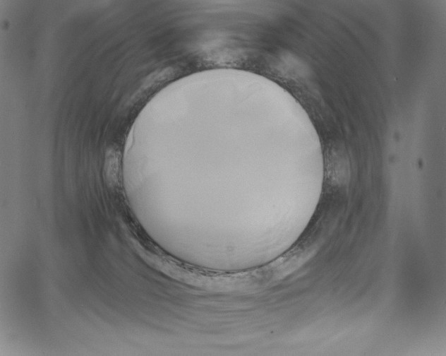 X0000062620036200601181706