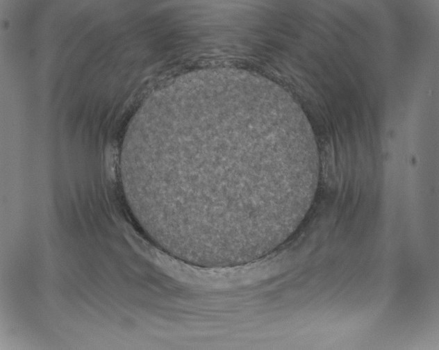 X0000062620038200601181706