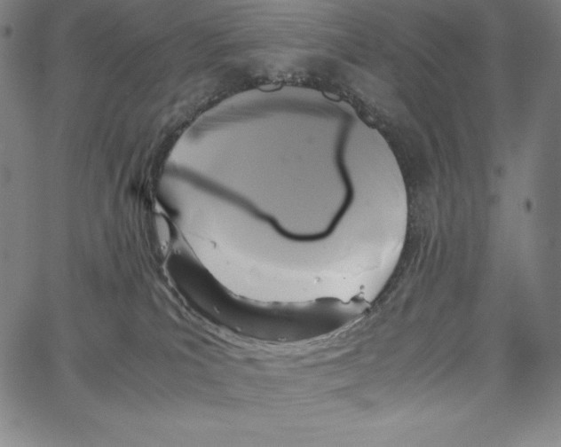 X0000062620039200601181706