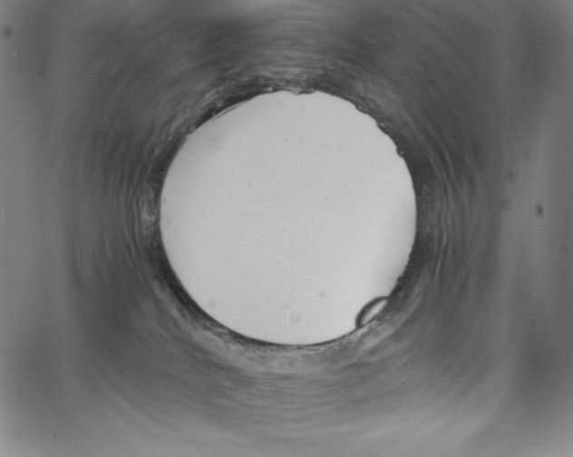 X0000062620040200601181706