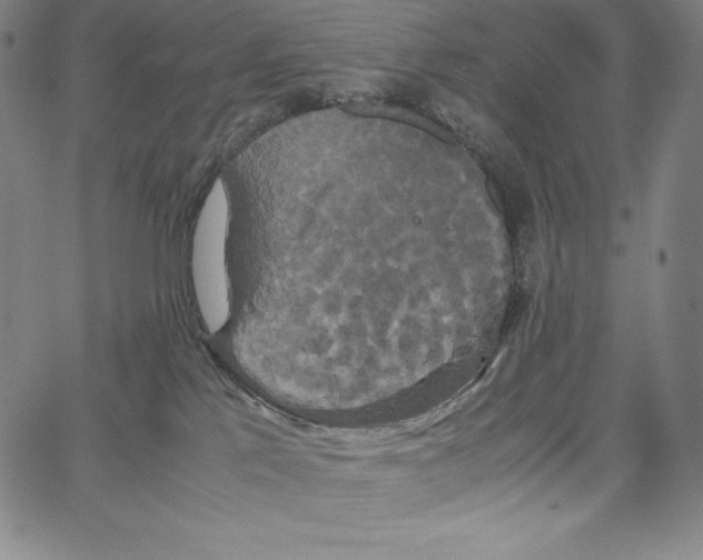 X0000062620041200601181706