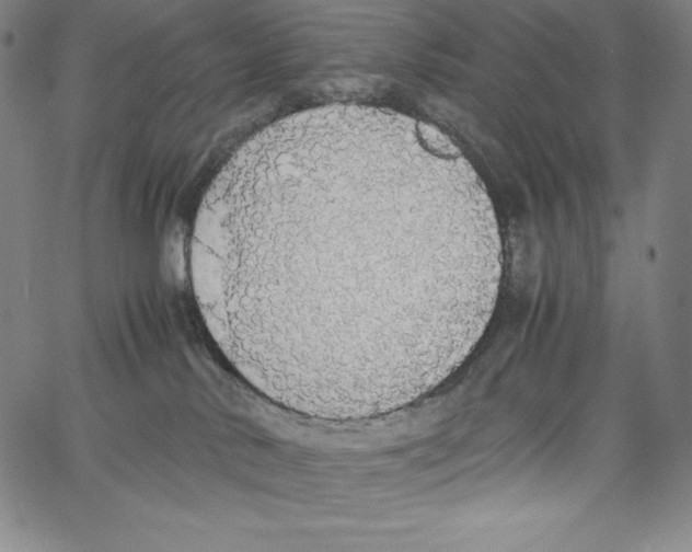 X0000062620042200601181706