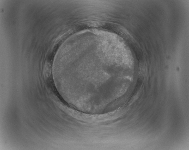 X0000062620043200601181706