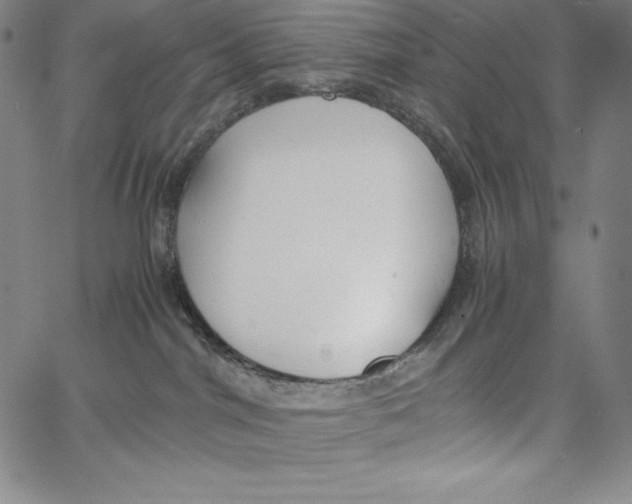 X0000062620044200601181705