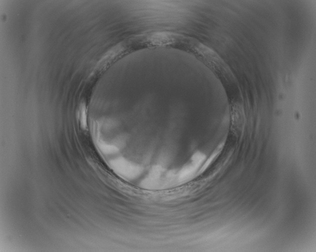 X0000062620046200601181705