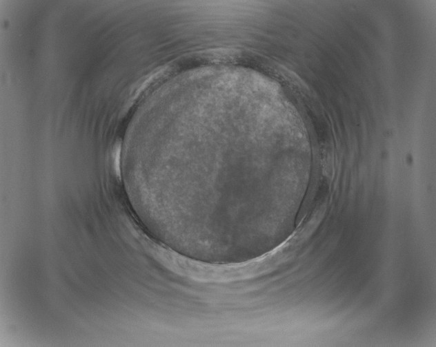 X0000062620047200601181705