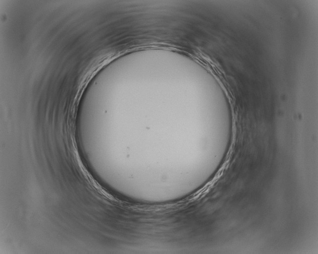 X0000062620049200601181705