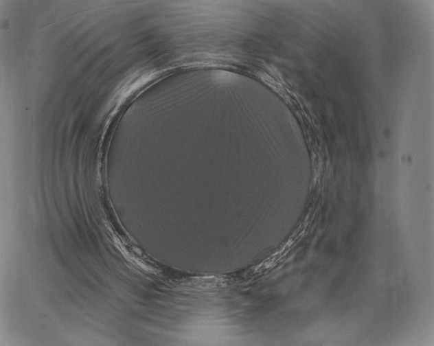 X0000062620050200601181705