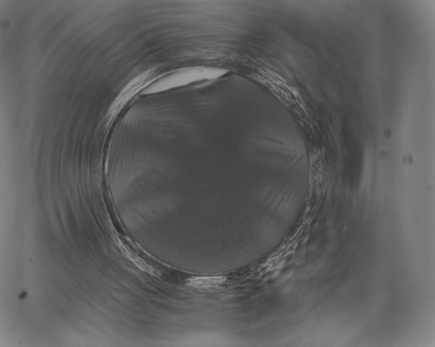 X0000062620051200601181705