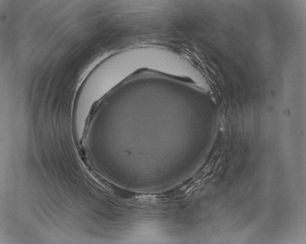 X0000062620052200601181705