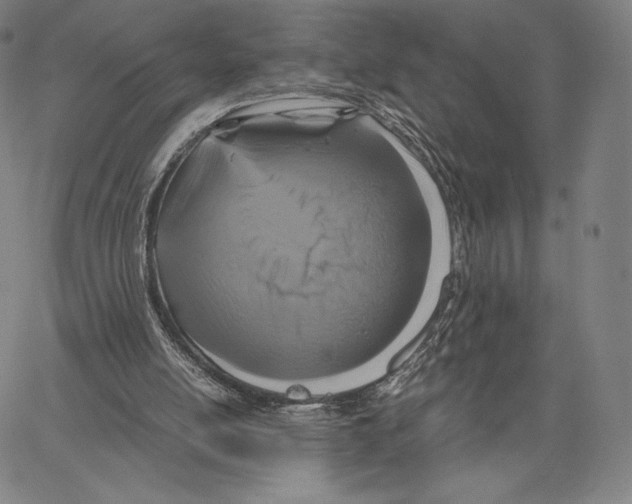 X0000062620054200601181705