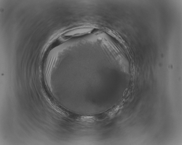 X0000062620055200601181705