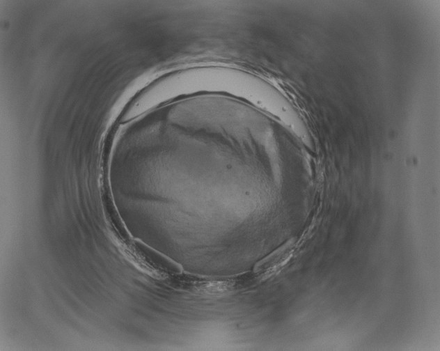 X0000062620056200601181705