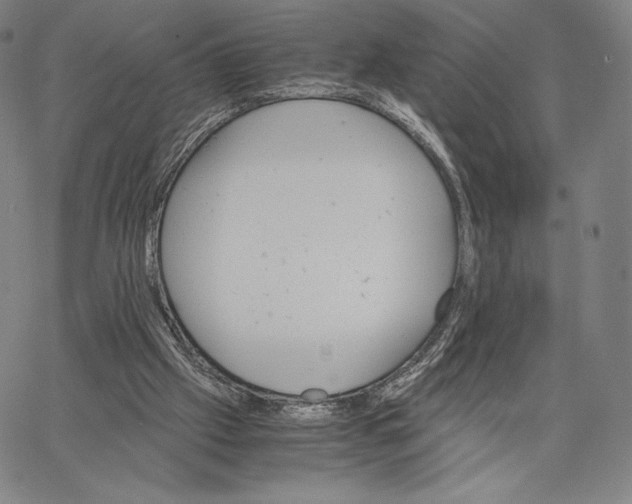 X0000062620057200601181705