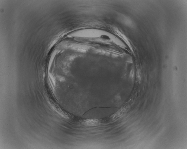 X0000062620059200601181705