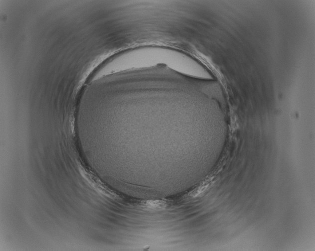 X0000062620060200601181705