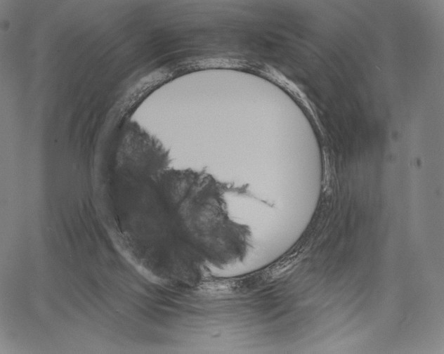 X0000062620061200601181705